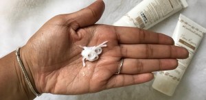 25383138_1944896428858819_1670409629_o